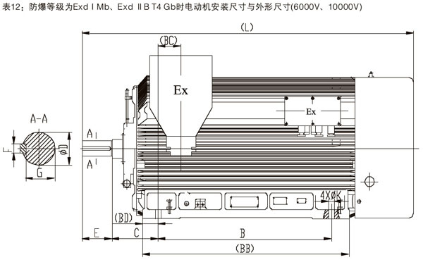 YBX3系列高效率高壓隔爆型三相異步電動機(jī)